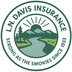 website logo